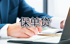 文山保单贷