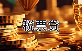 文山税票贷
